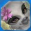 level 20 icon