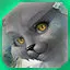 level 8 icon