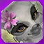 level 40 icon