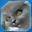 level 18 icon
