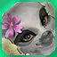level 10 icon