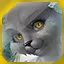 level 28 icon
