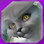 level 38 icon