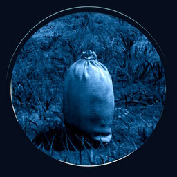 That Was Pointless, Right? icon