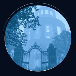 Should’ve Stayed on the Shore icon