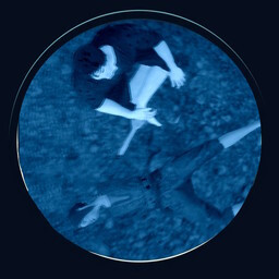 It’s Just a Bad Cold icon