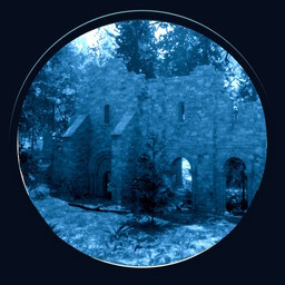 Remnants of the Past icon