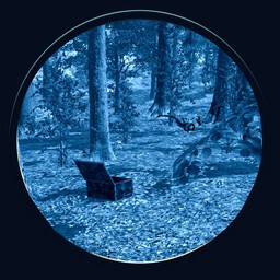 Probably Just Luck icon