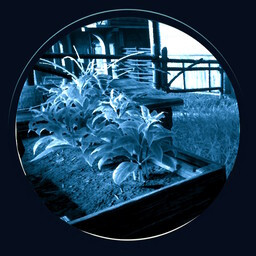 Occasional Gatherer icon