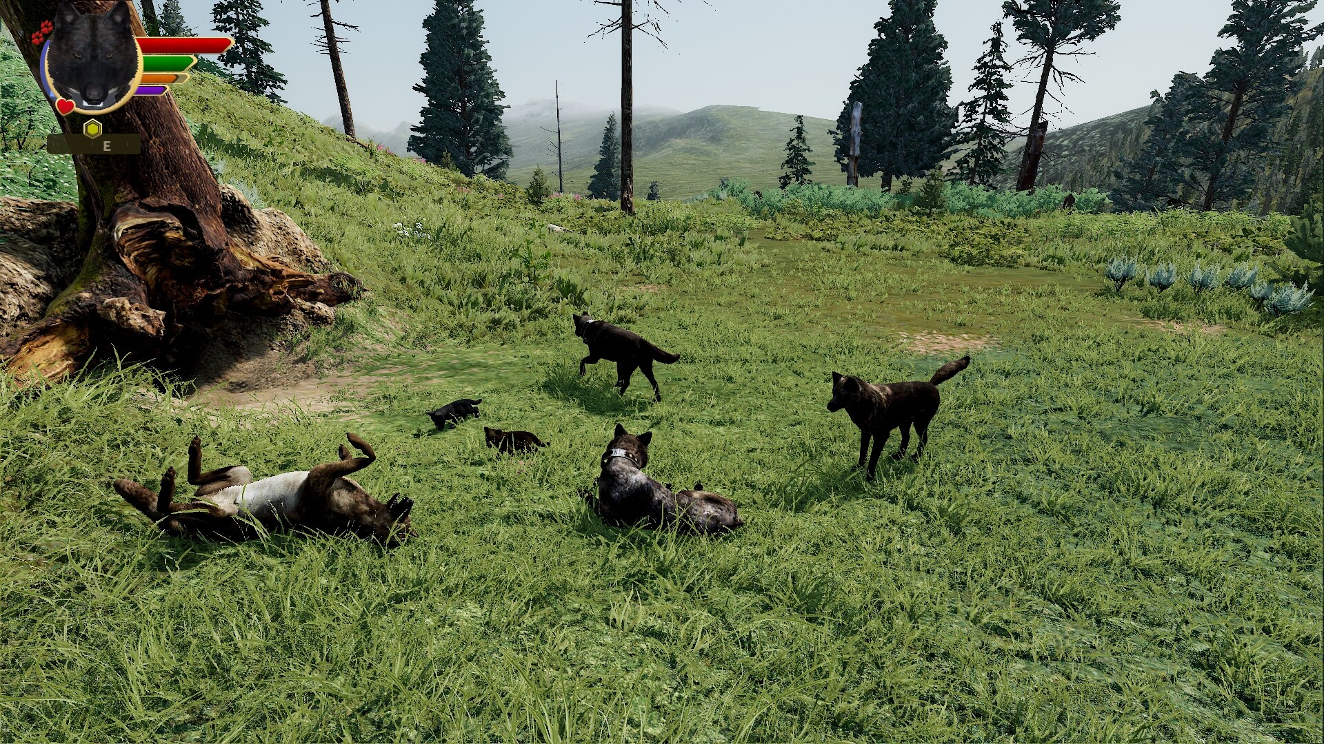WolfQuest: Anniversary Edition Screenshot 5