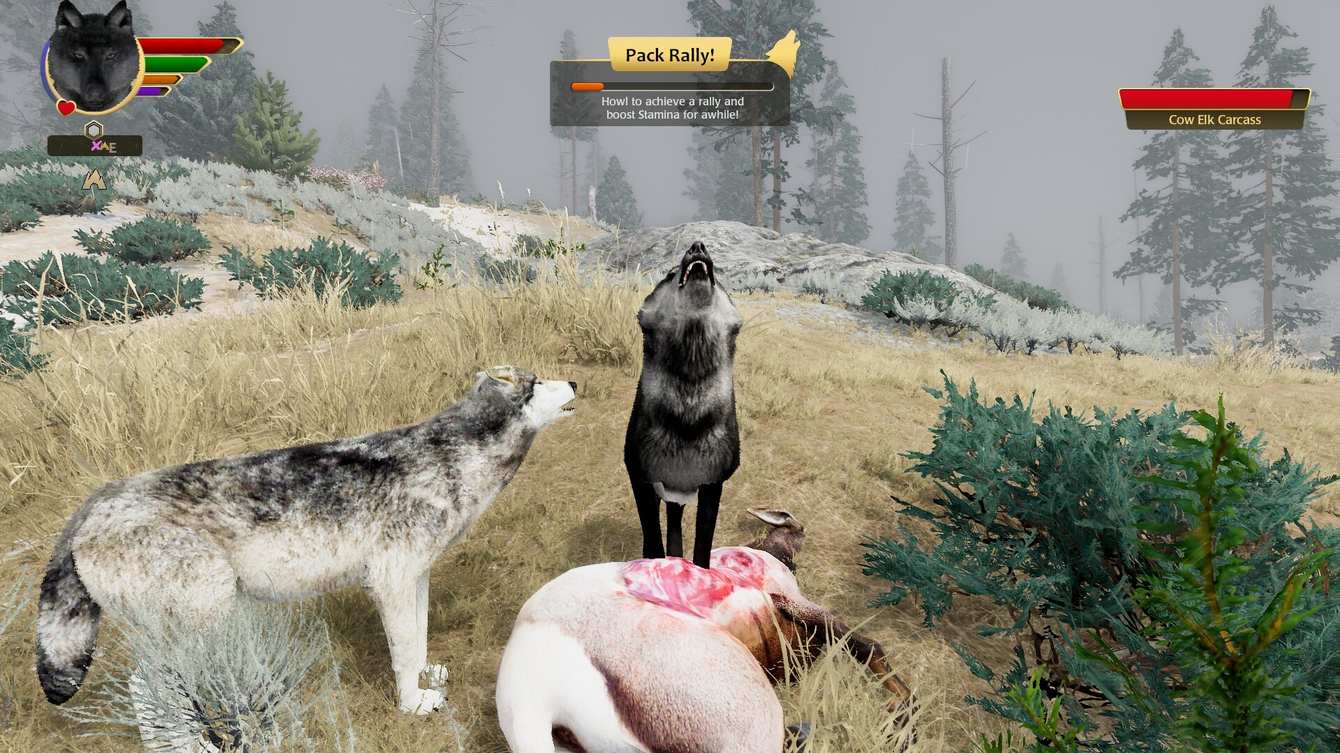 WolfQuest: Anniversary Edition Screenshot 17
