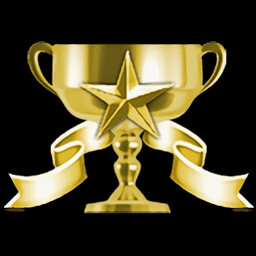 Stage 8 Perfect Service icon