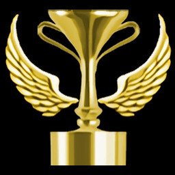 Stage 2 Perfect Service icon