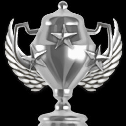 Stage 4 Expert Service icon