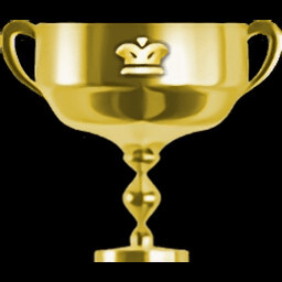 Stage 10 Perfect Service icon