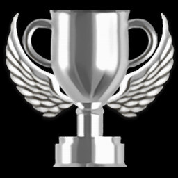 Stage 10 Expert Service icon