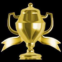 Stage 5 Perfect Service icon