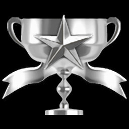 Stage 14 Expert Service icon