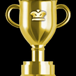 Stage 4 Perfect Service icon