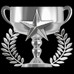 Stage 3 Expert Service icon