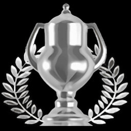 Stage 12 Expert Service icon