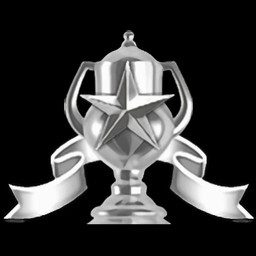 Stage 6 Expert Service icon