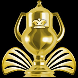 Stage 9 Perfect Service icon