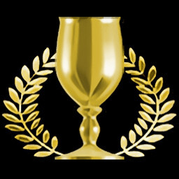 Stage 13 Perfect Service icon