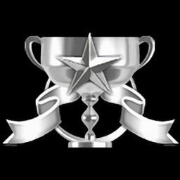 Stage 8 Expert Service icon