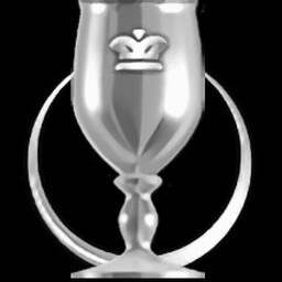 Stage 2 Expert Service icon