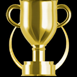 Stage 11 Perfect Service icon