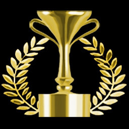 5 Levels Extreme Service icon