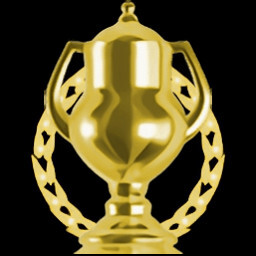 Stage 14 Perfect Service icon