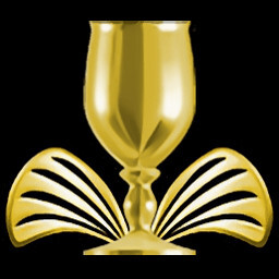 Stage 3 Perfect Service icon