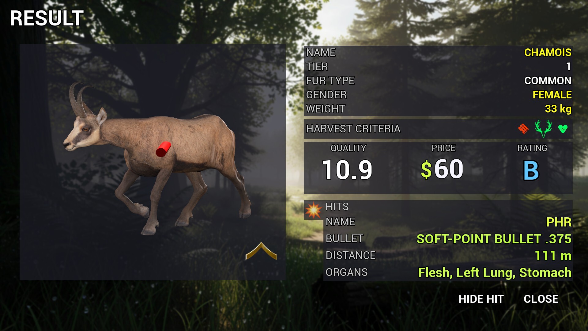 Project Hunt Screenshot 7