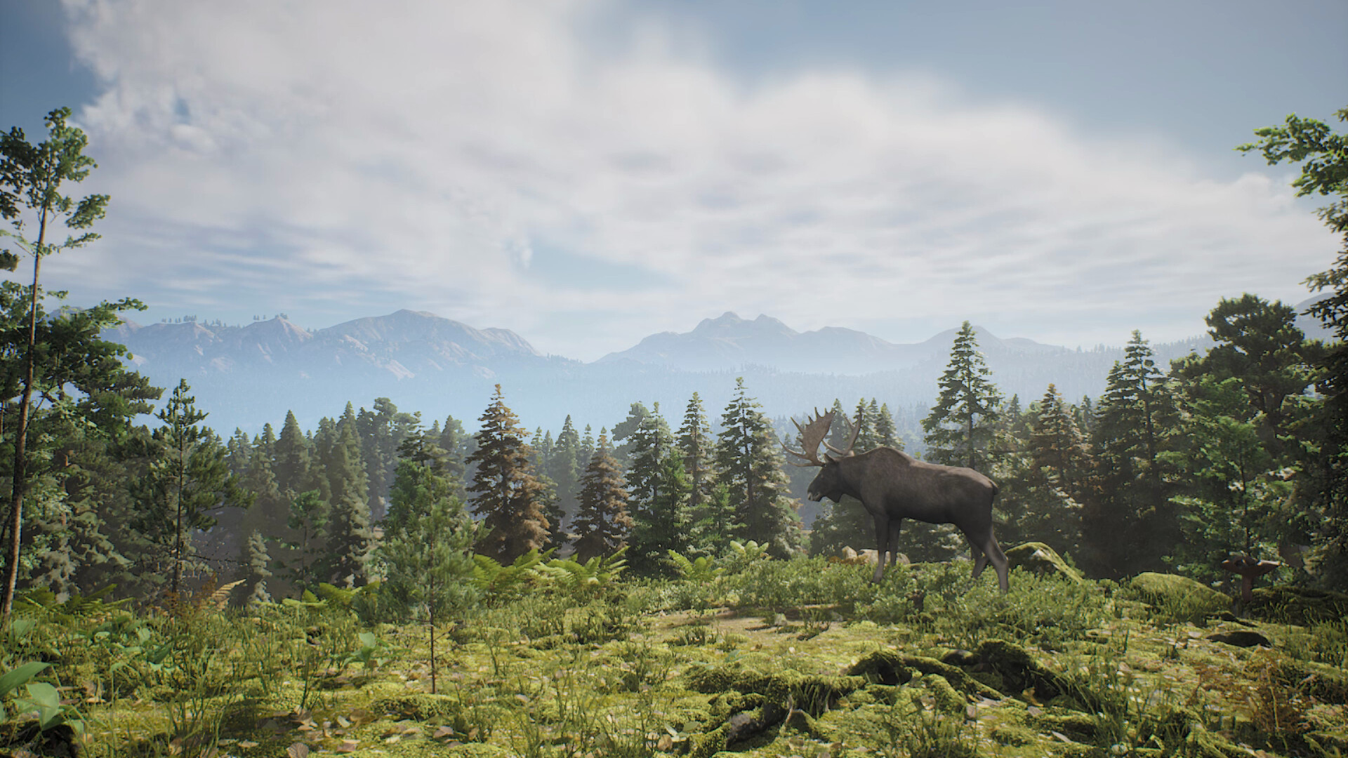 Project Hunt Screenshot 1