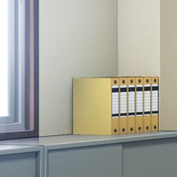 Political Correspondent icon