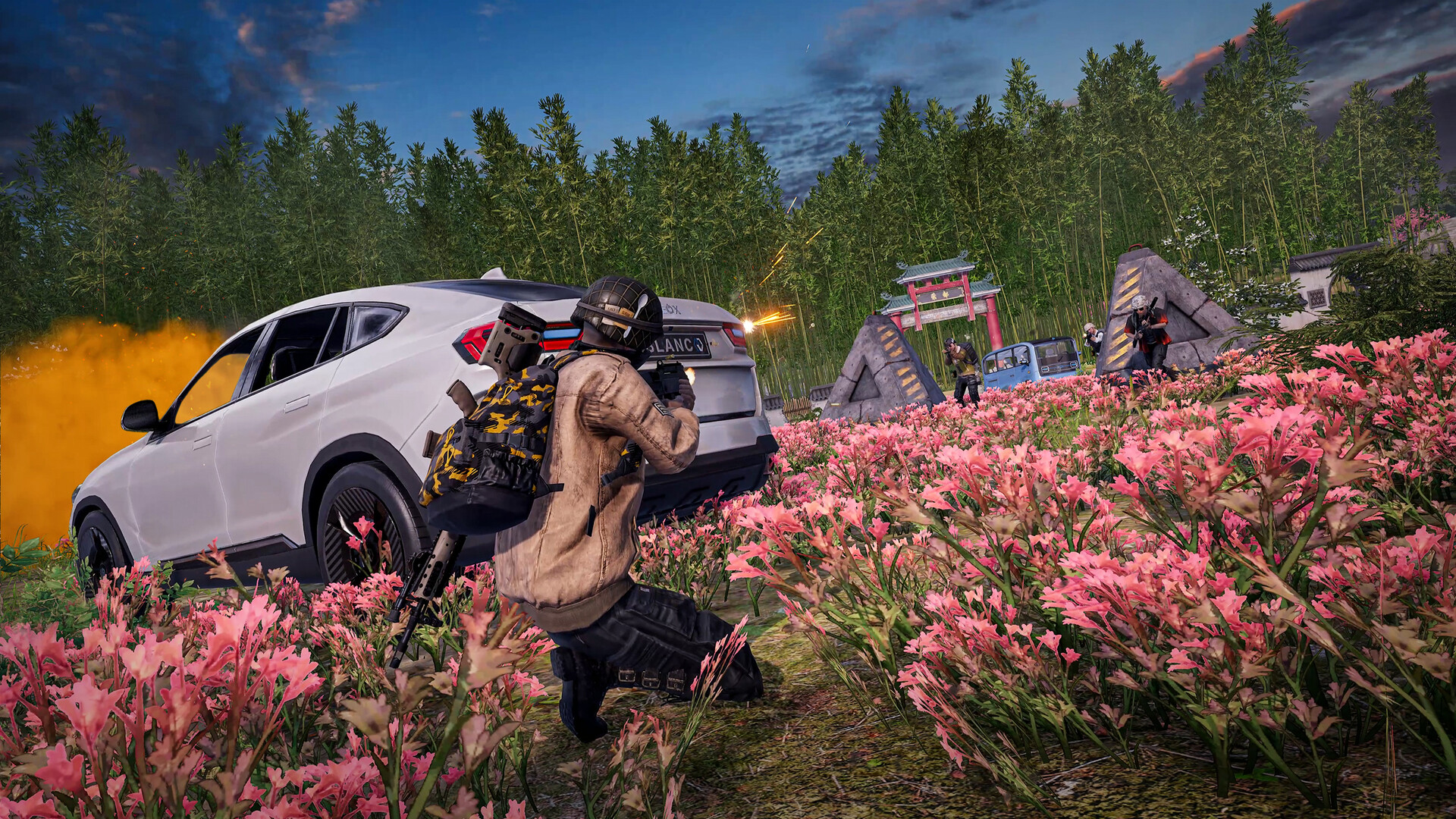 PUBG: BATTLEGROUNDS Screenshot 8