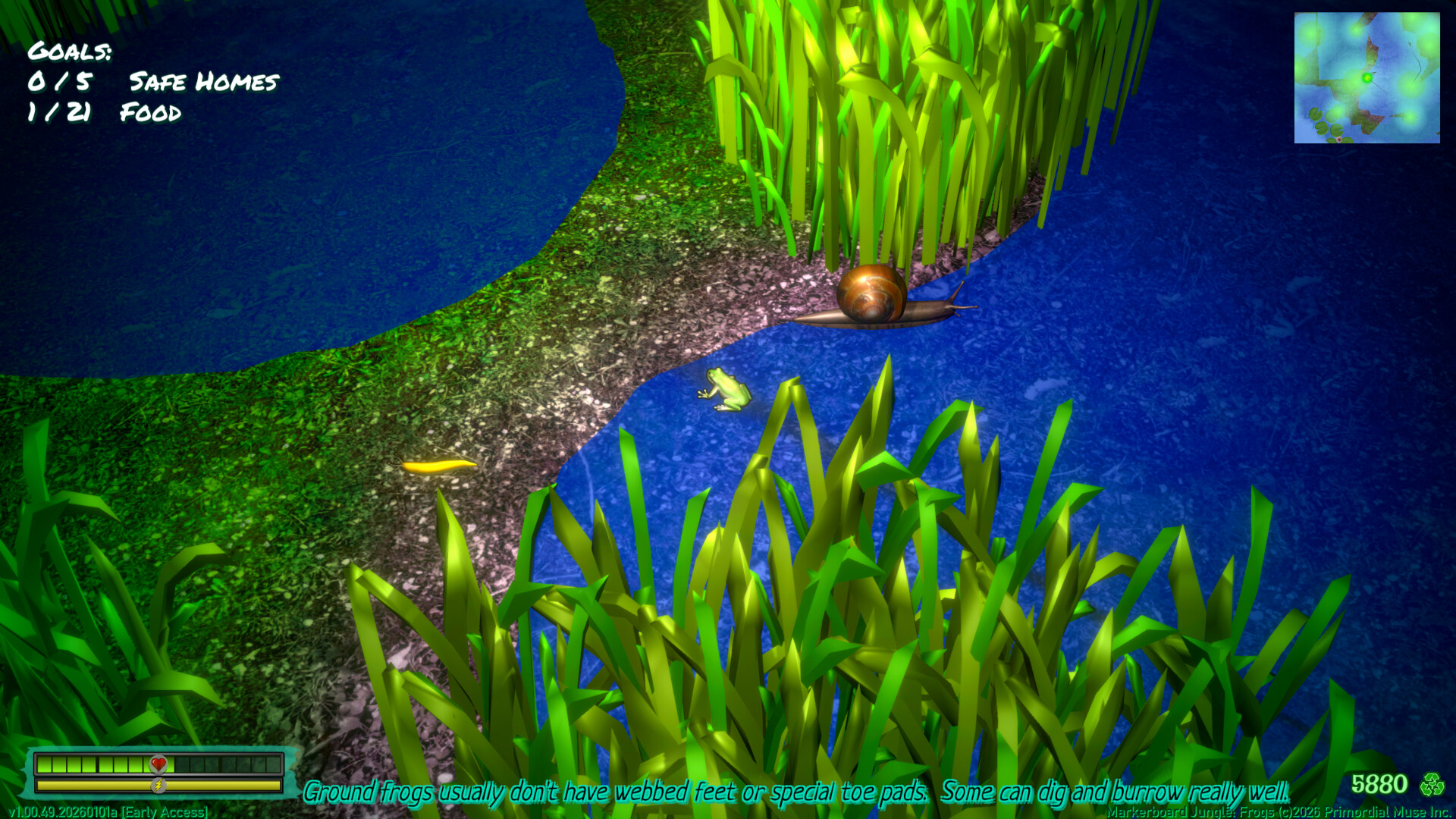 Markerboard Jungle: Frogs Screenshot 4