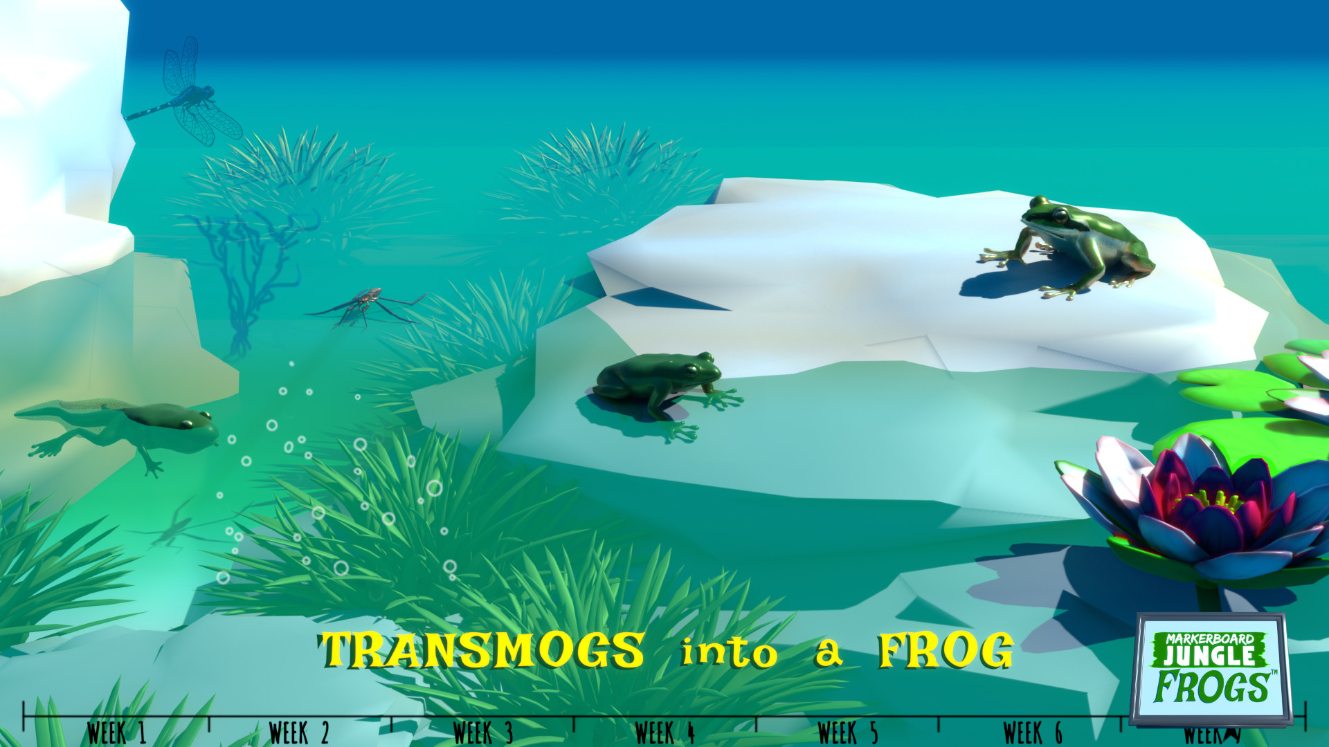 Markerboard Jungle: Frogs Screenshot 9
