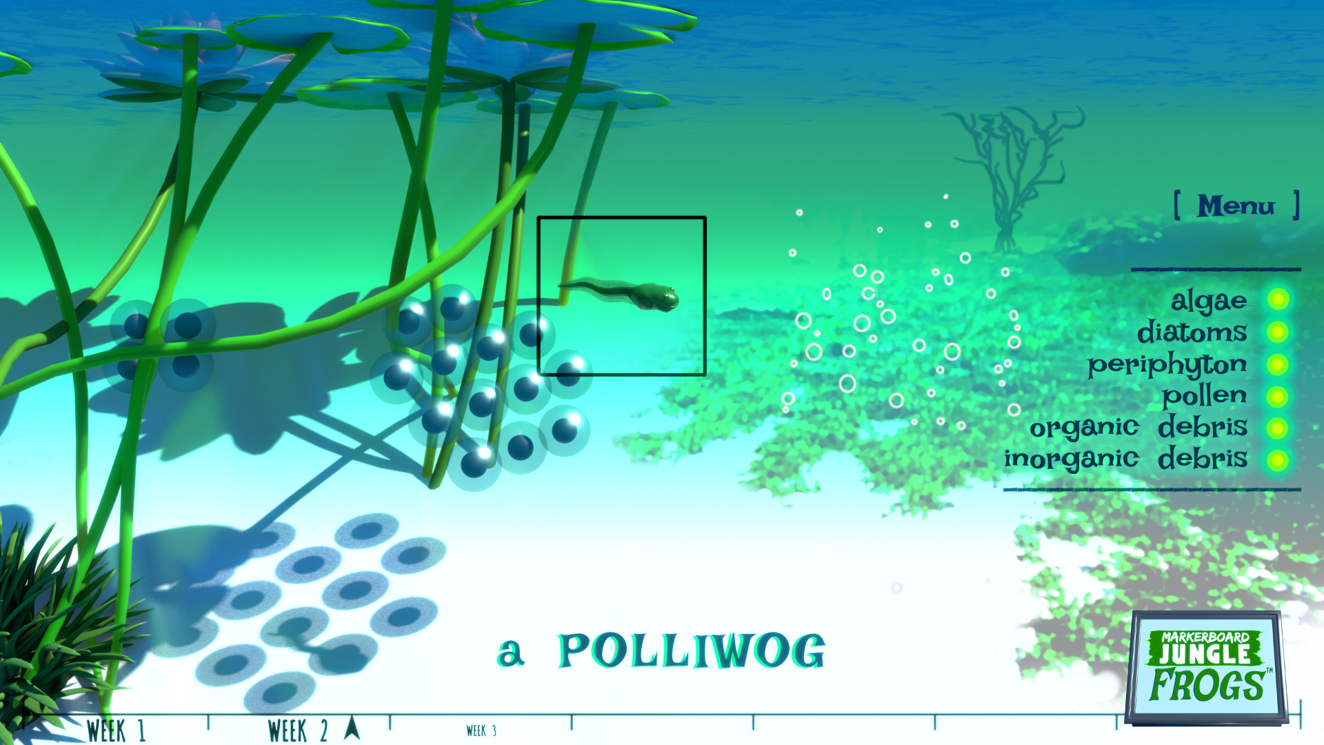 Markerboard Jungle: Frogs Screenshot 8