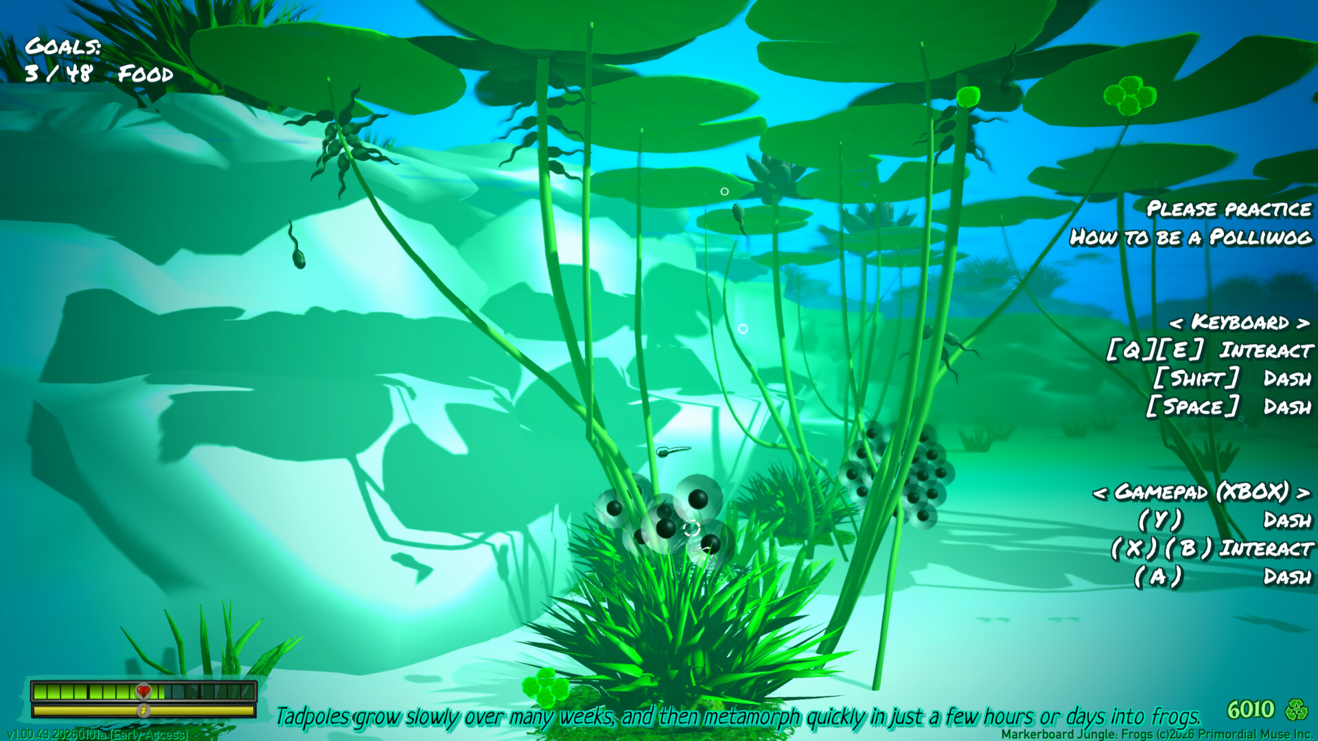 Markerboard Jungle: Frogs Screenshot 3