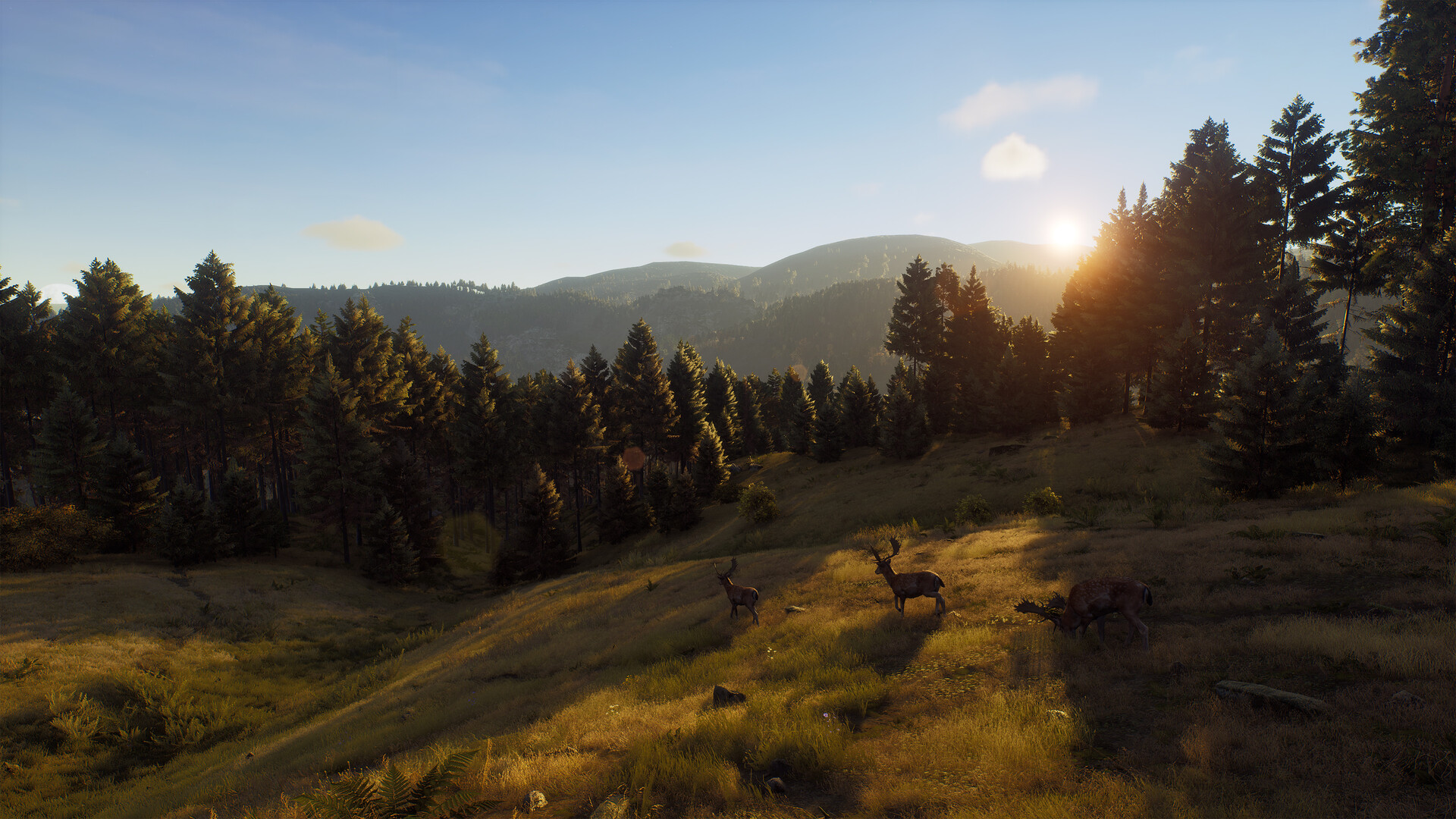 Way of the Hunter Screenshot 13