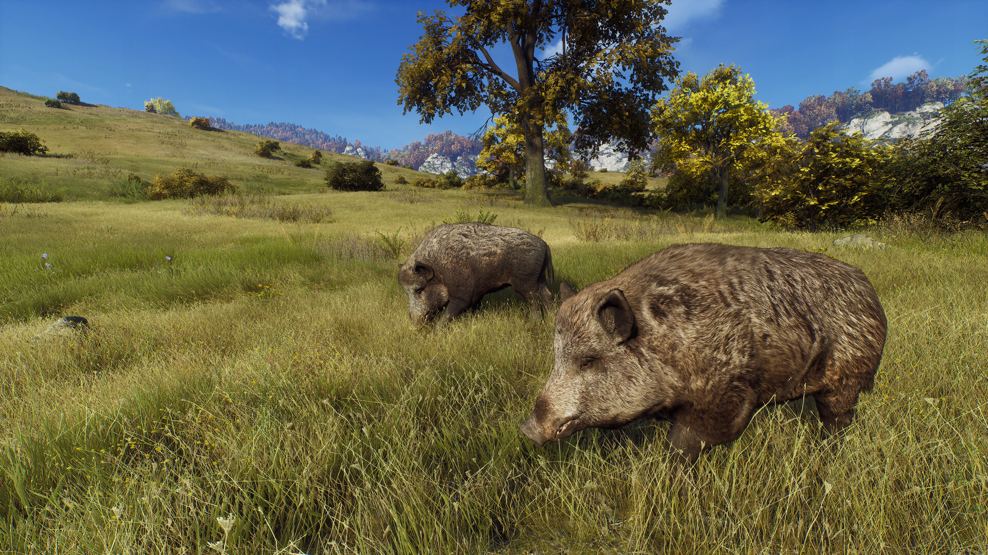 Way of the Hunter Screenshot 9