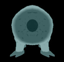 God Save The Queen icon