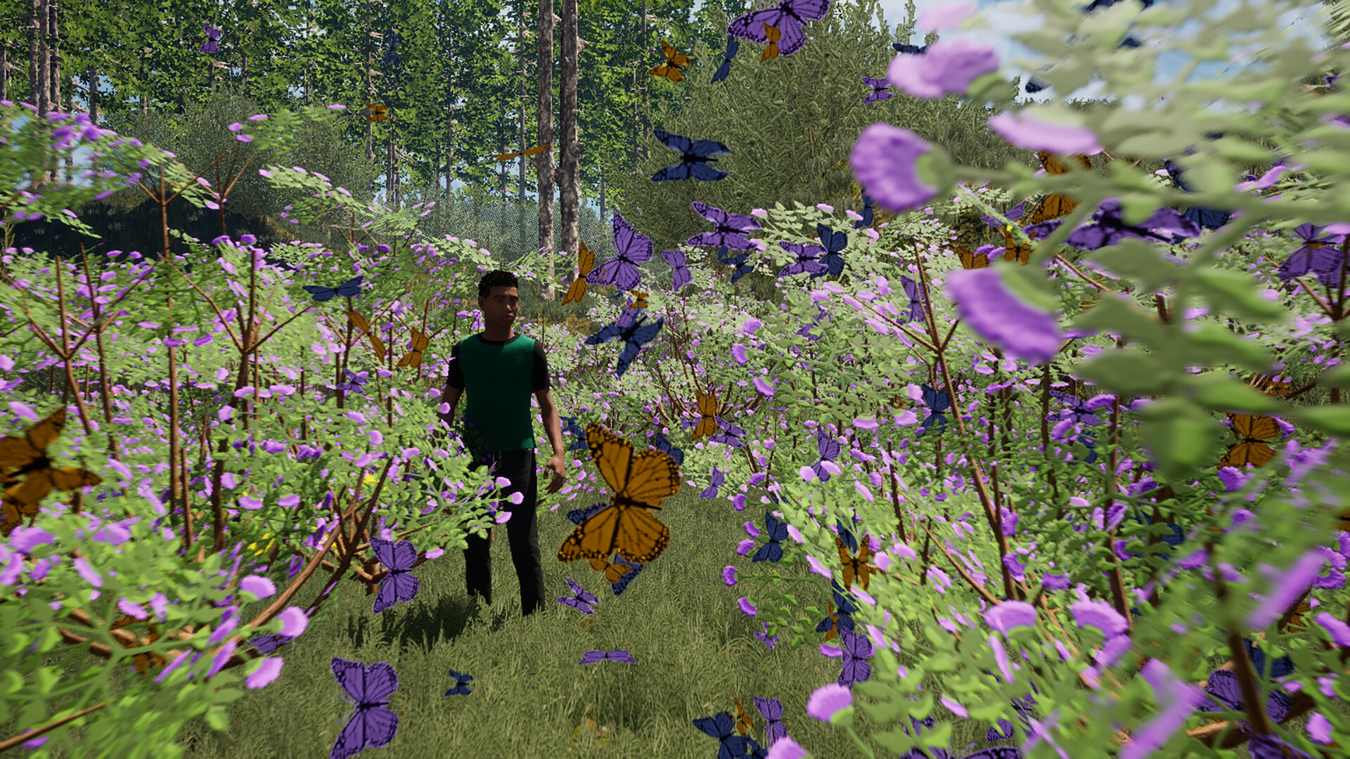 The Fox, The Forest & The Darkness Screenshot 1