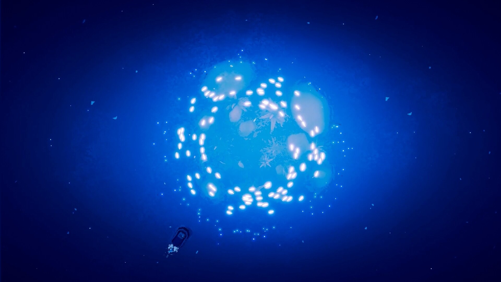 Shippin Screenshot 3