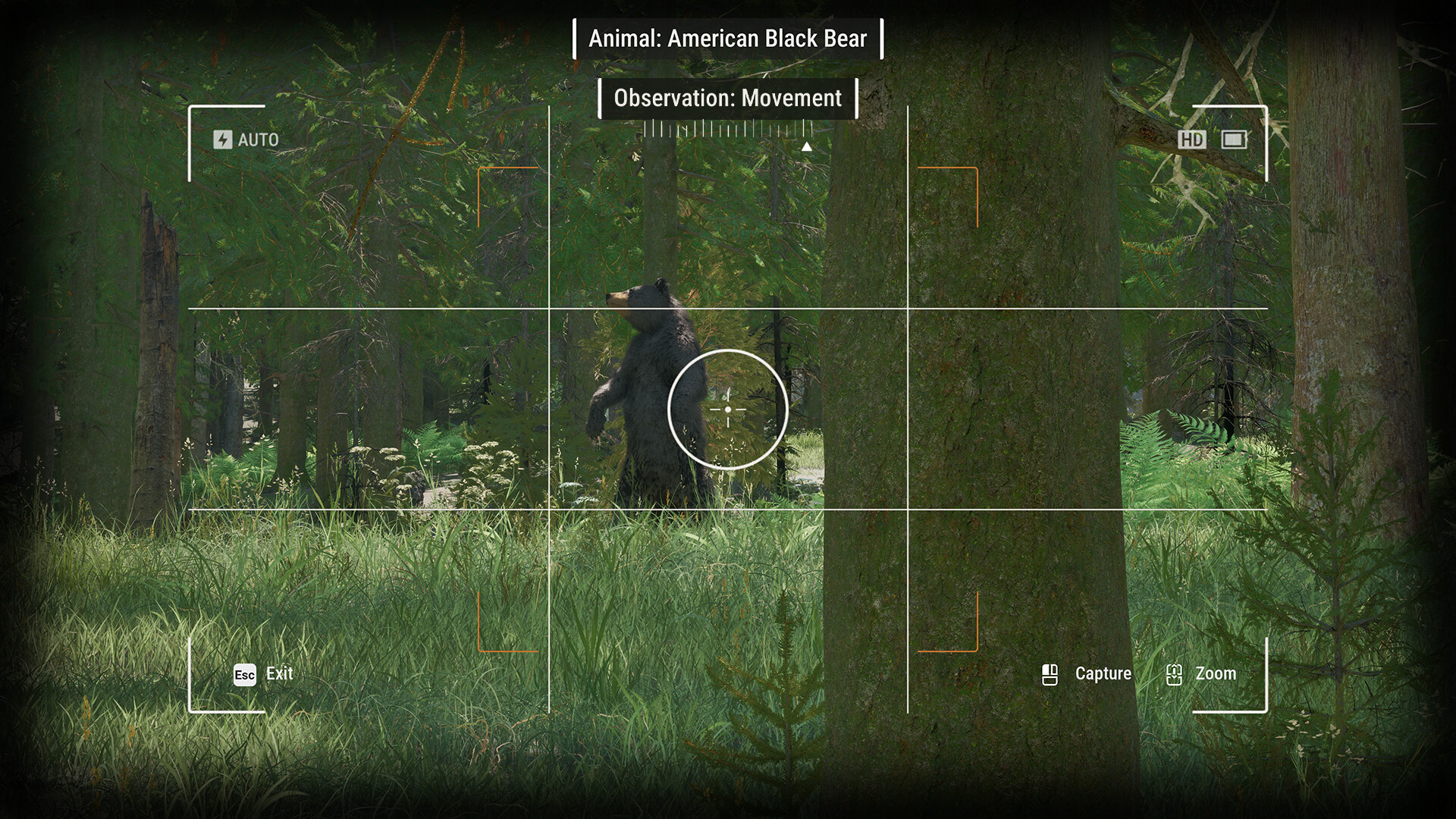 Ranger’s Path: National Park Simulator Screenshot 8