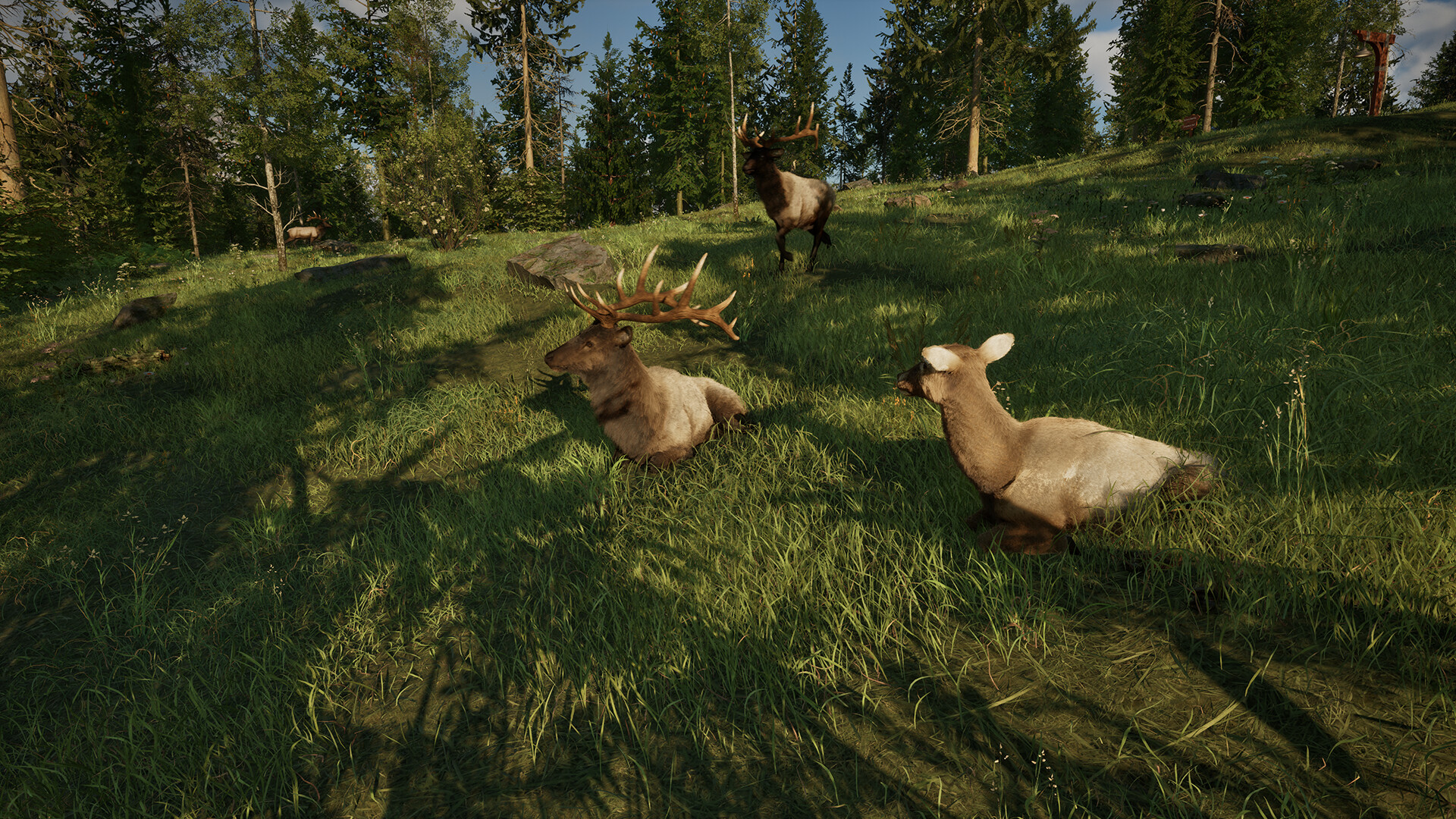 Ranger’s Path: National Park Simulator Screenshot 5