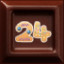 Level 24 icon